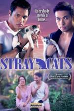 Watch Stray Cats M4uhd