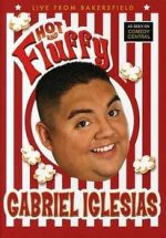 Watch Gabriel Iglesias: Hot and Fluffy M4uhd