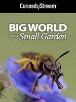Watch Big World in a Small Garden (TV Short 2016) M4uhd