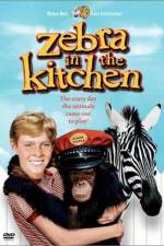 Watch Zebra in the Kitchen M4uhd