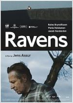 Watch Ravens M4uhd