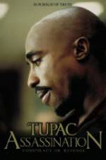 Watch Assassination: Conspiracy or Revenge M4uhd