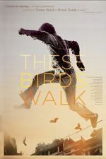 Watch These Birds Walk M4uhd
