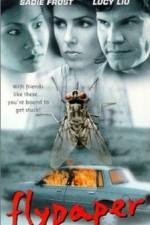Watch Flypaper M4uhd
