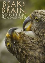 Watch Beak & Brain - Genius Birds from Down Under M4uhd