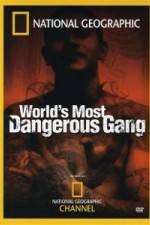 Watch National Geographic World's Most Dangerous Gang M4uhd
