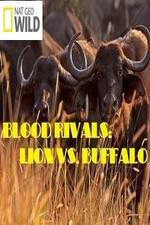 Watch National Geographic - Blood Rivals: Lion vs. Buffalo M4uhd