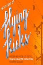 Watch The Mystery of Flying Kicks M4uhd