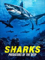 Watch Sharks: Predators of the Deep M4uhd