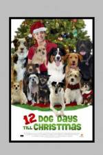Watch 12 Dog Days of Christmas M4uhd