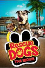 Watch Rescue Dogs M4uhd