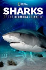 Watch Sharks of the Bermuda Triangle (TV Special 2020) M4uhd