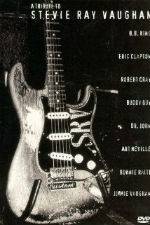 Watch A Tribute to Stevie Ray Vaughan M4uhd