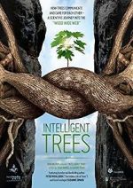 Watch Intelligent Trees M4uhd