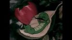 Watch The Wacky Worm (Short 1941) M4uhd