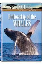 Watch Fellowship Of The Whales M4uhd