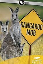Watch Kangaroo Mob M4uhd