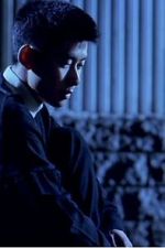 Watch The Place on the Tricorne M4uhd