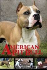 Watch American Pit Bull M4uhd