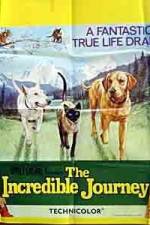 Watch The Incredible Journey M4uhd