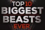 Watch Top 10 Biggest Beasts Ever M4uhd