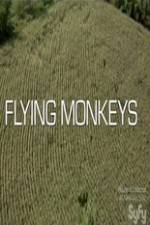 Watch Winged Terror M4uhd