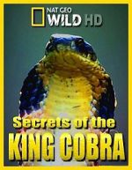 Watch Secrets of the King Cobra M4uhd