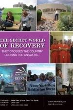 Watch The Secret World of Recovery M4uhd