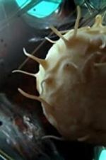 Watch Our Secret Universe: The Hidden Life of the Cell M4uhd