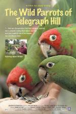 Watch The Wild Parrots of Telegraph Hill M4uhd