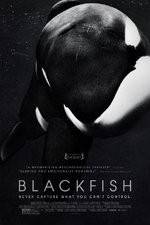 Watch Blackfish M4uhd