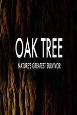 Watch Oak Tree Natures Greatest Survivor M4uhd