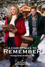 Watch A Christmas to Remember M4uhd