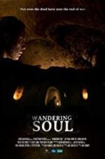 Watch Wandering Soul M4uhd