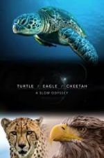 Watch Turtle, Eagle, Cheetah: A Slow Odyssey M4uhd