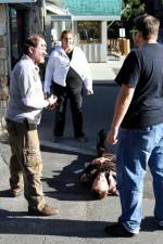 Watch Dead Stop M4uhd