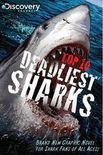 Watch National Geographic Worlds Deadliest Sharks M4uhd