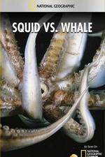 Watch National Geographic Wild - Squid Vs Whale M4uhd