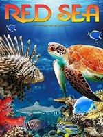 Watch Red Sea 4K M4uhd