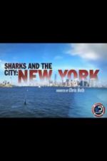 Watch Sharks and the City: New York M4uhd