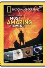 Watch National Geographic's Most Amazing Moments M4uhd