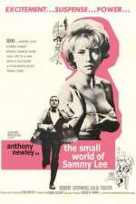 Watch The Small World of Sammy Lee M4uhd
