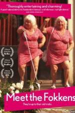 Watch Meet the Fokkens M4uhd