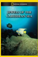 Watch National Geographic Jewels of the Caribbean Sea M4uhd