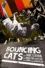 Watch Bouncing Cats M4uhd