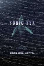 Watch Sonic Sea M4uhd