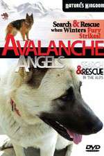 Watch Avalanche Angels M4uhd