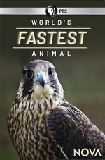 Watch World\'s Fastest Animal M4uhd