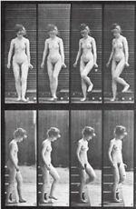 Watch Woman Walking Downstairs M4uhd