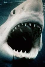 Watch Sharkmania: The Top 15 Biggest Baddest Bloodiest Bites M4uhd